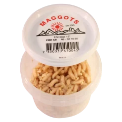 Maggot Spestillingsvare