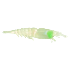 Owner Super Natural Shrimp 8stk. – Glow