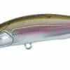 Realis Rozante 77SP -I enden av snøret Winkel DSH3061 Realis Rozante 77SP Komochi Wakasagi