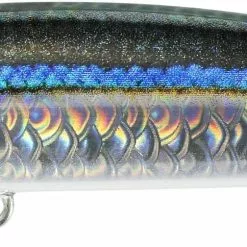 DUO Beach Walker Axcion Slim 105